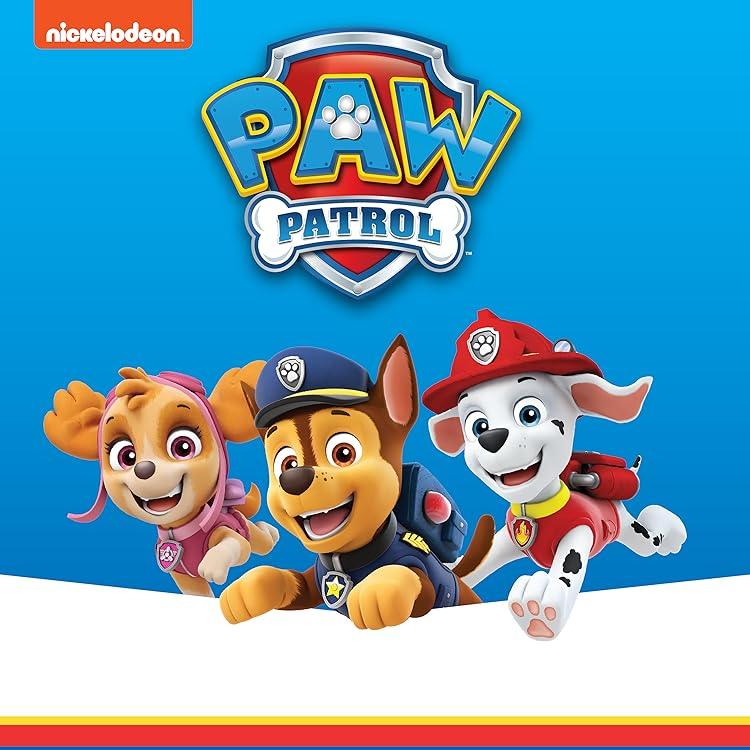 Paw Patrol accessories featuring Skye, Chase, and Marshall cartoon characters with Paw Patrol logo